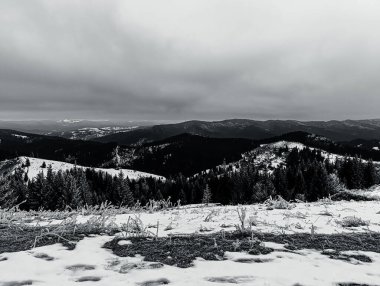 Bir sürü ağaçlı kış dağının siyah beyaz fotoğrafı.