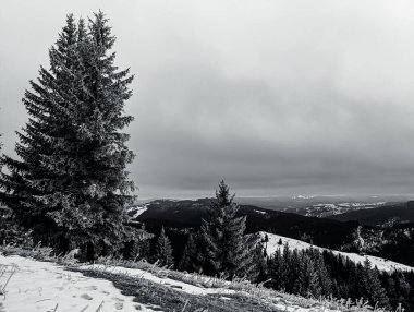 Karpatya dağlarında kış. Ukrayna. Karpat Dağları