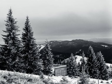 Karpatlar 'da kış manzarası