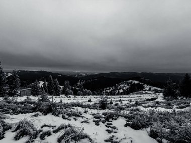 Çek Cumhuriyeti'nde kış manzarası