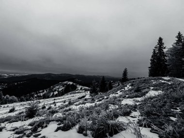 Orman Kış dağ manzarası kar ile kaplı