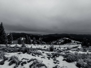 Karla kaplı ağaçlarla kaplı güzel kış manzarası