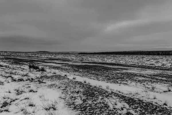 Bir yolu olan kış manzarası