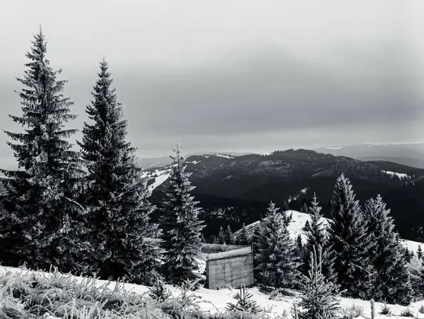 Karpatlar 'da kış manzarası