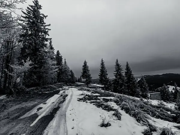Dağların güzel manzarası