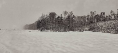 Arkasında karlı bir orman olan güzel bir manzaranın dikey görüntüsü.