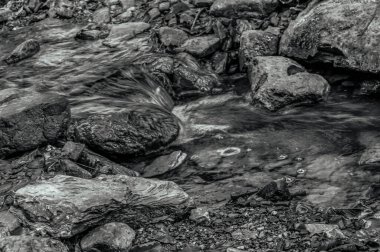 Ormanda güzel bir şelale