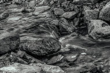 kayalar, taşlar ve yosunlarla dolu bir dağ nehrinin siyah beyaz fotoğrafı