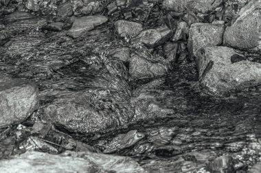 bir dağ nehrinin siyah beyaz fotoğrafı