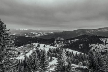 Ukrayna 'daki Karpatların kış manzarası.