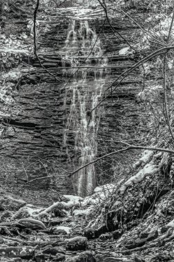 Ormanda şelale, siyah beyaz fotoğraf