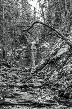 Siyah beyaz dereler.