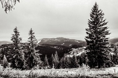 Karpat Dağları 'nın siyah beyaz görüntüsü. Ukrayna 'da kış manzarası
