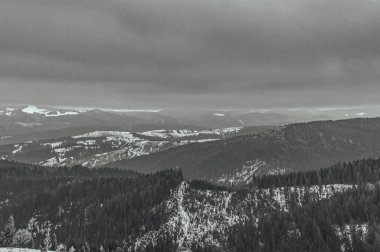 Karpatlar 'da siyah beyaz kış dağı. Doğanın güzelliği kavramı.