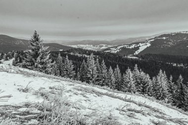 Karpatlar 'daki güzel dağ manzarası