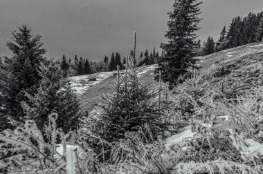 Karpat Dağları 'nda kış manzarası