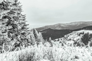 Dağlarda kış manzarası.