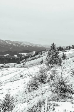 Dağlarda kış manzarası