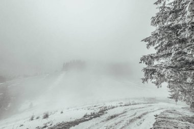 Karla kaplı ağaçlarla kaplı kış manzarası. kış dağı.