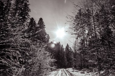 Dağlarda kış manzarası