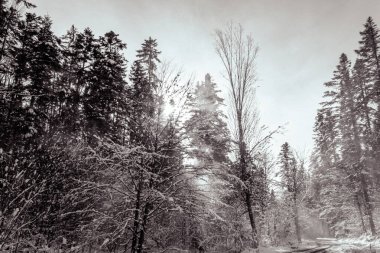 Karlı kış manzarası