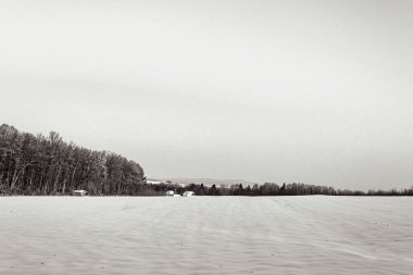 Orman, Karpatlar, Doğa Fotoğrafları - Avrupa, Doğu Avrupa, Romanya 