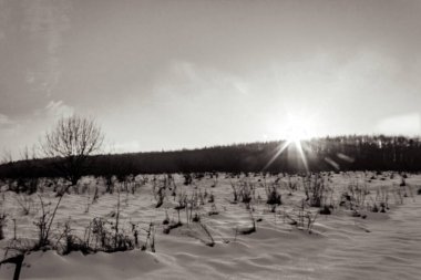 Ağaçlı ve karlı güzel bir manzara.