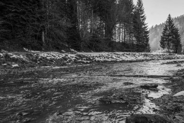 Kış manzarası. Ormanda karla kaplı bir nehir..