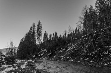 Kışın nehir olan güzel bir manzara.