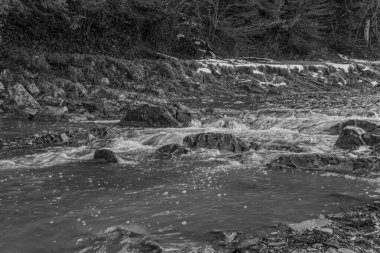 Ormandaki bir dağ nehrinin siyah beyaz görüntüsü.
