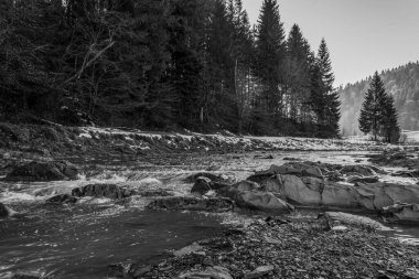 Nehrin ormandaki dikey görüntüsü.