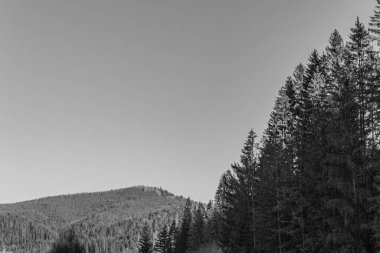 Ağaçlar ve dağlarla dolu güzel bir manzara.