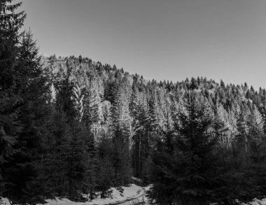 Karlı kış manzarası