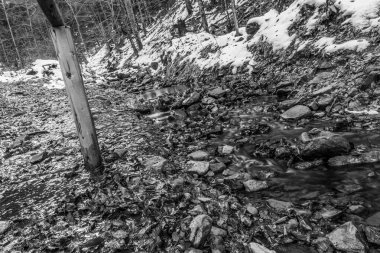 Ormanda güzel bir şelale