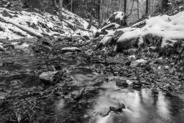 Güzel kış ormanı karla kaplı kayalar.
