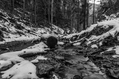 Güzel manzara. doğa arkaplanı