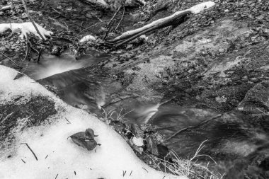 İlkbaharda nehrin dokusu