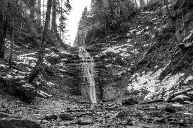 Bir dağ ormanındaki bir şelalenin siyah beyaz fotoğrafı, taşlardan oluşan bir dere.