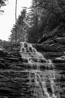 Ormanda güzel bir şelale