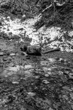 Kış ormandaki nehir dağ