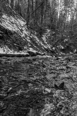 Kış ormanında güzel bir nehir