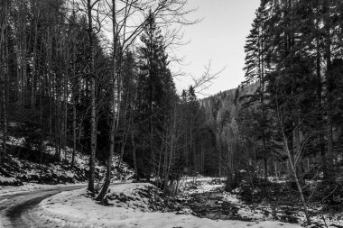 Dağların siyah beyaz fotoğrafı