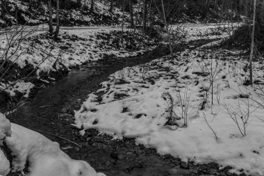 Siyah ve beyaz kış manzarası