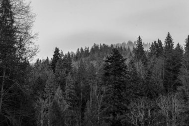 bir dağ manzarasının siyah ve beyaz görüntüsü