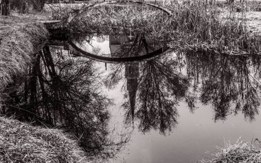 Arkasında bir göl olan güzel bir manzara.