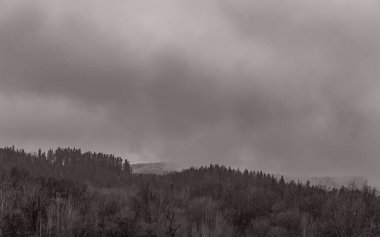 Ormanda dağları olan güzel bir manzara.
