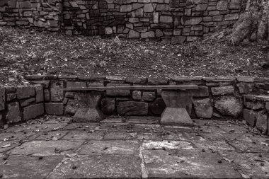 Ormanda taş basamaklar