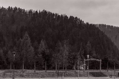 Ormanlı bir dağ manzarasının siyah ve beyaz görüntüsü