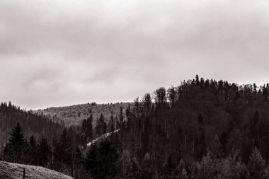 Güzel manzara. doğa arkaplanı