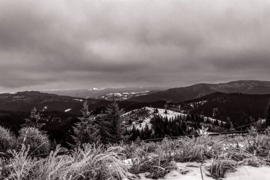 Ağaçlarla ve dağlarla kaplı kış manzarası